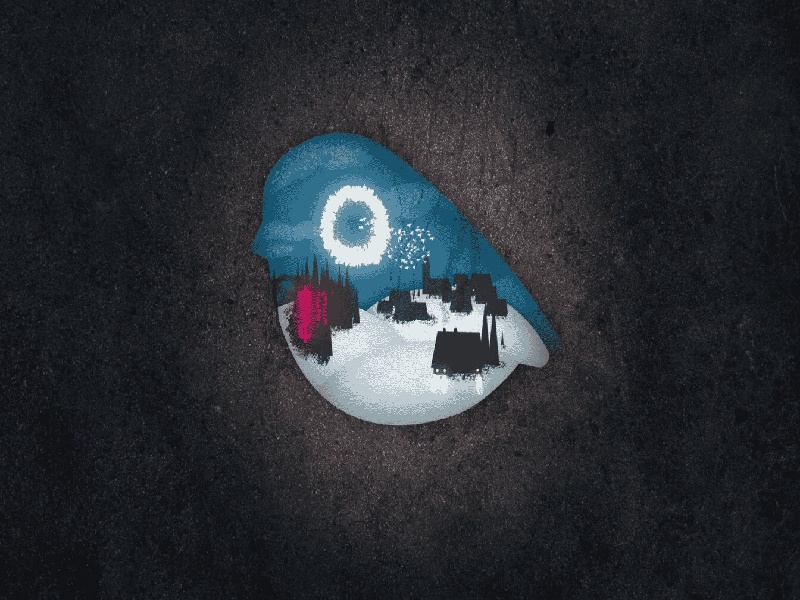 王女士成功案例